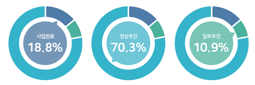 사업완료 18.8%, 정상추진 70.3%, 일부추진 10.9%. 