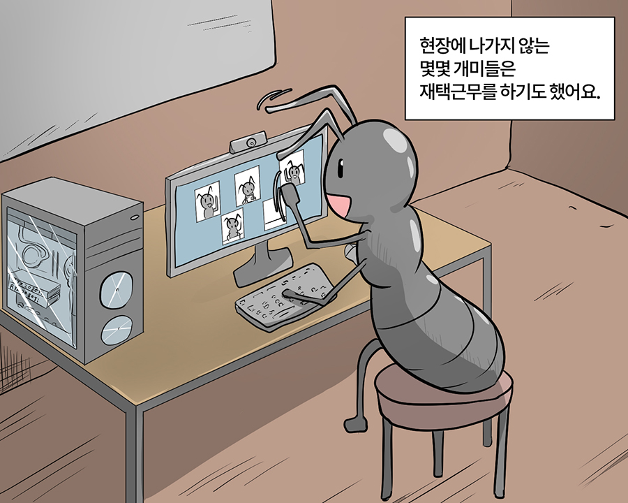 현장에 나가지 않는 몇몇 개미들은 재택근무를 하기도 했어요.