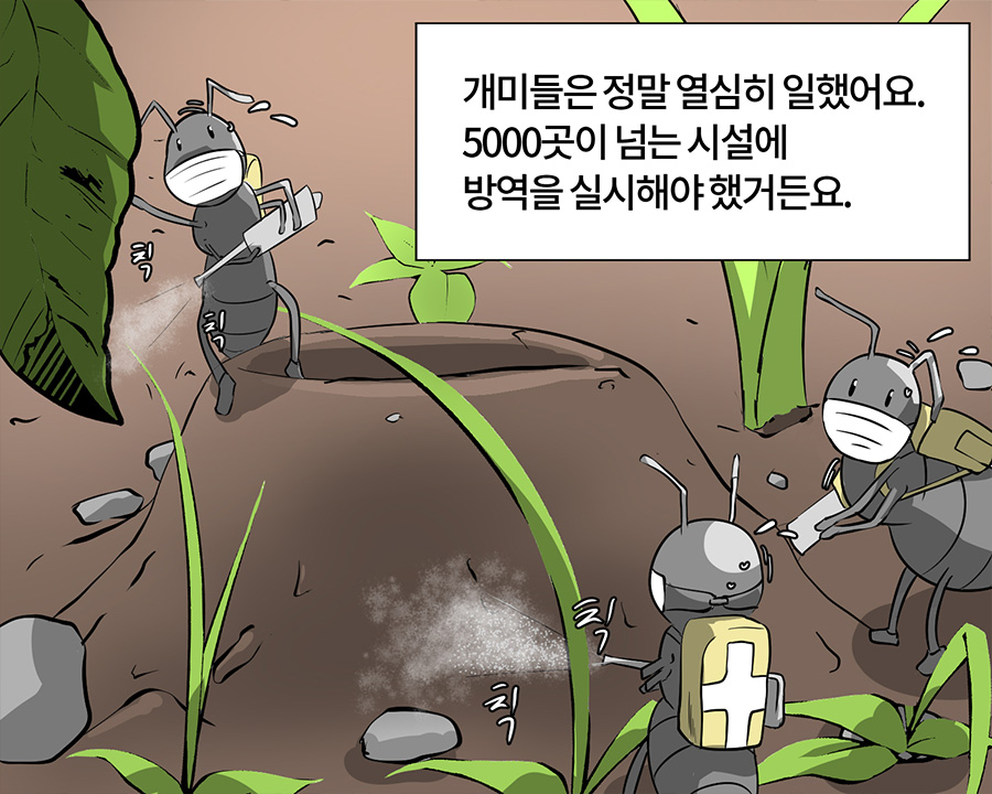  - 개미들은 정말 열심히 일했어요. 5000곳이 넘는 시설에 방역을 실시해야 했거든요.