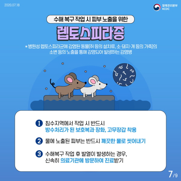 수해 복구 작업 시 피부 노출을 통한 렙토스피라증 *병원성 렙토스피라균에 감염된 동물 소변 등의 노출을 통해 감염되는 병 1. 침수지역에서 작업 시 반드시 방수처리가 된 보호복과 장화 고무장갑 착용 2. 물에 노출된 피부는 반드시 깨끗한 물로 씻어내기 3. 수해복구 작업 후 발열이 발생하는 경우 신속히 의료기관에 방문해 진료받기