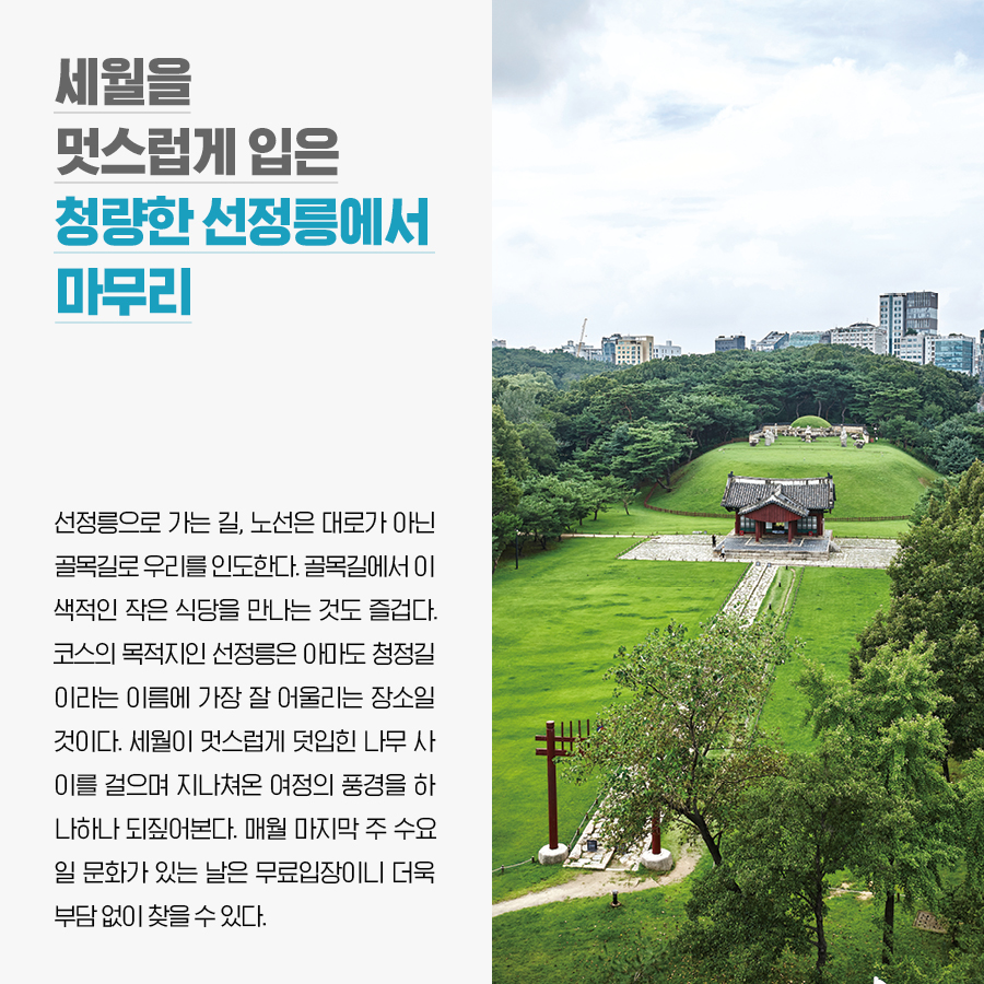 세월을 멋스럽게 입은 청량한 선정릉에서 마무리 선정릉으로 가는 길, 노선은 대로가 아닌 골목길로 우리를 인도한다. 골목길에서 이색적인 작은 식당을 만나는 것도 즐겁다. 코스의 목적지인 선정릉은 아마도 청정길이라는 이름에 가장 잘 어울리는 장소일 것이다. 세월이 멋스럽게 덧입힌 나무 사이를 걸으며 지나쳐온 여정의 풍경을 하나하나 되짚어본다. 매월 마지막 주 수요일 문화가 있는 날은 무료입장이니 더욱 부담 없이 찾을 수 있다.