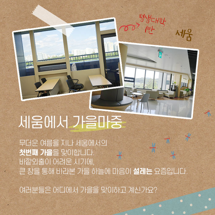 월간세움 카드뉴스