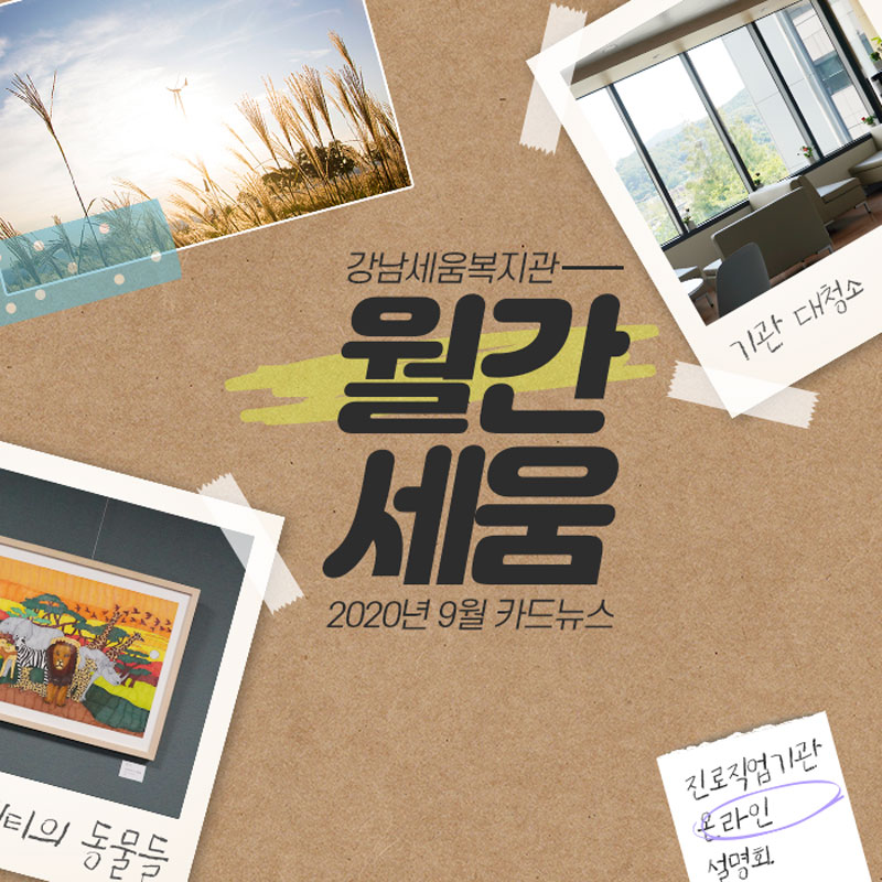 월간세움 카드뉴스