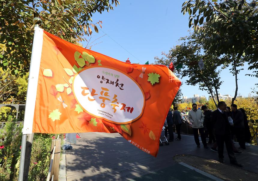 10.29. 2018 양재천 단풍축제 - 4