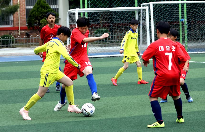 05.13 제22회 강남구청장기 소년축구대회 - 10