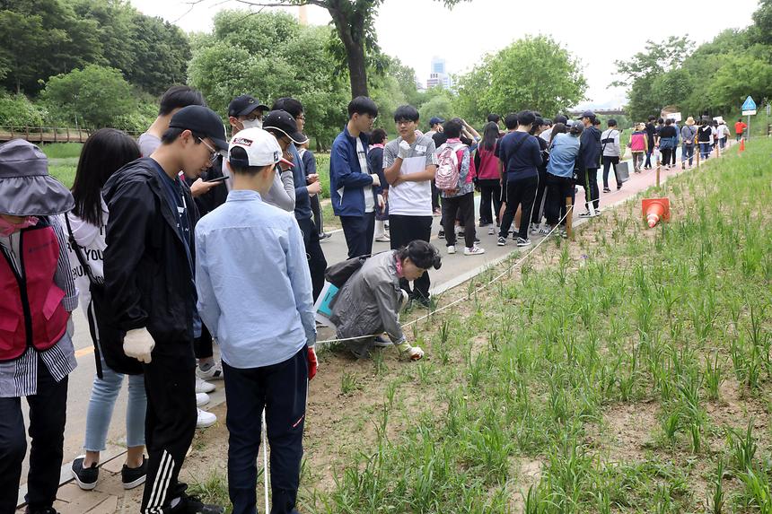 05.18 제7회 양재천 돗자리 자원봉사 축제 - 12