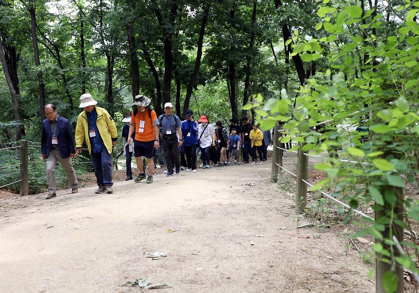 05.25 아침편지 고도원과 함께하는 선정릉 걷기명상 - 5