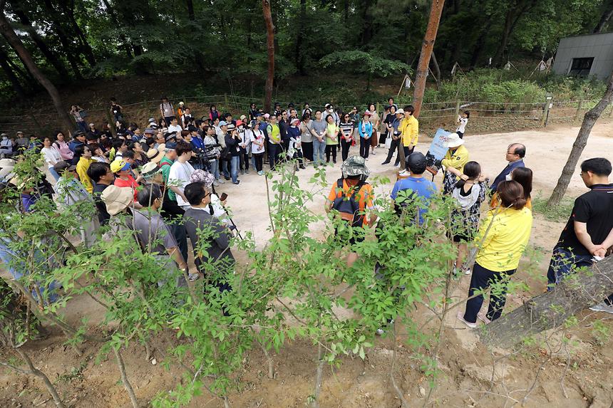 05.25 아침편지 고도원과 함께하는 선정릉 걷기명상 - 2