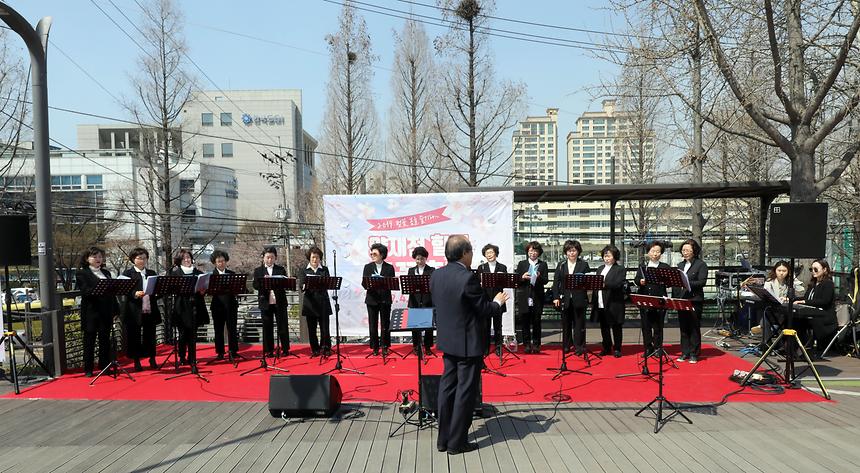 04.03 양재천 벚꽃 축제 - 1
