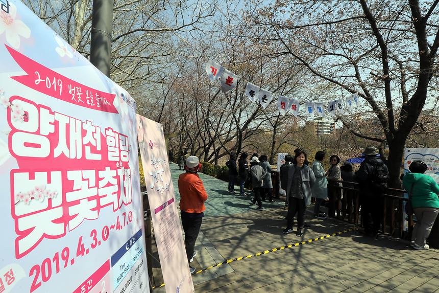 04.03 양재천 벚꽃 축제 - 2