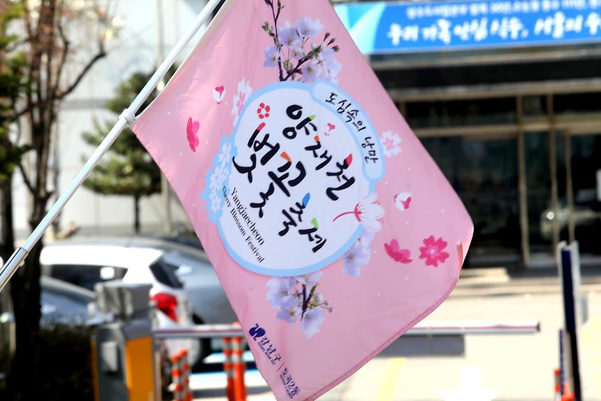 04.03 양재천 벚꽃 축제 - 10