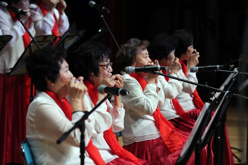 11.09 알콩달콩 강남콩 축제 - 10