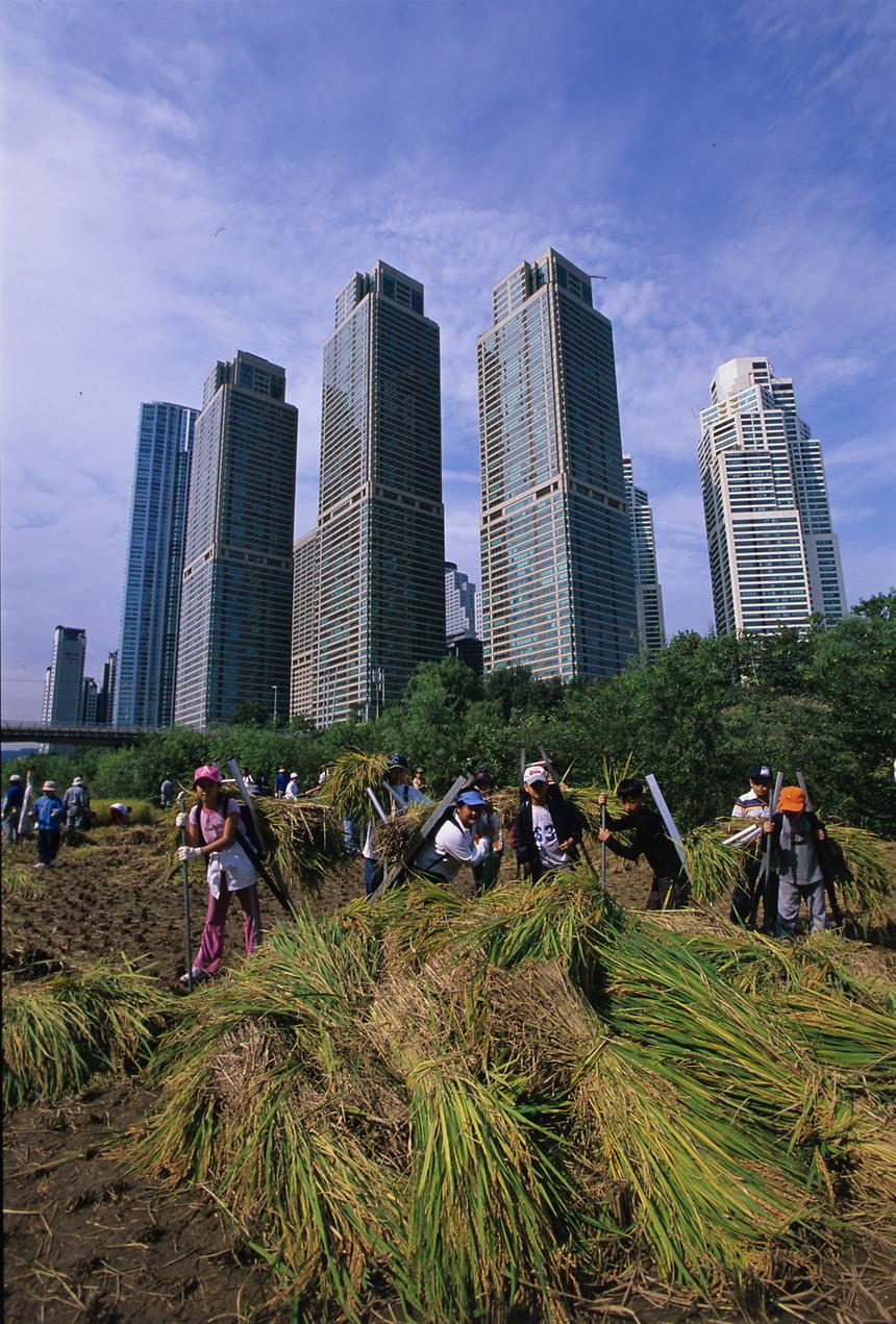 2005년 강남구 사진전(입선) 2 - 3