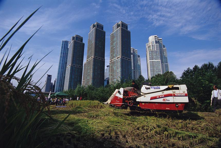 2005년 강남구 사진전(입선) 1 - 17