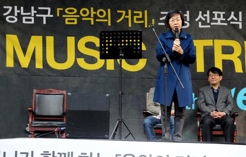 강남구 음악의 거리 행사 - 2