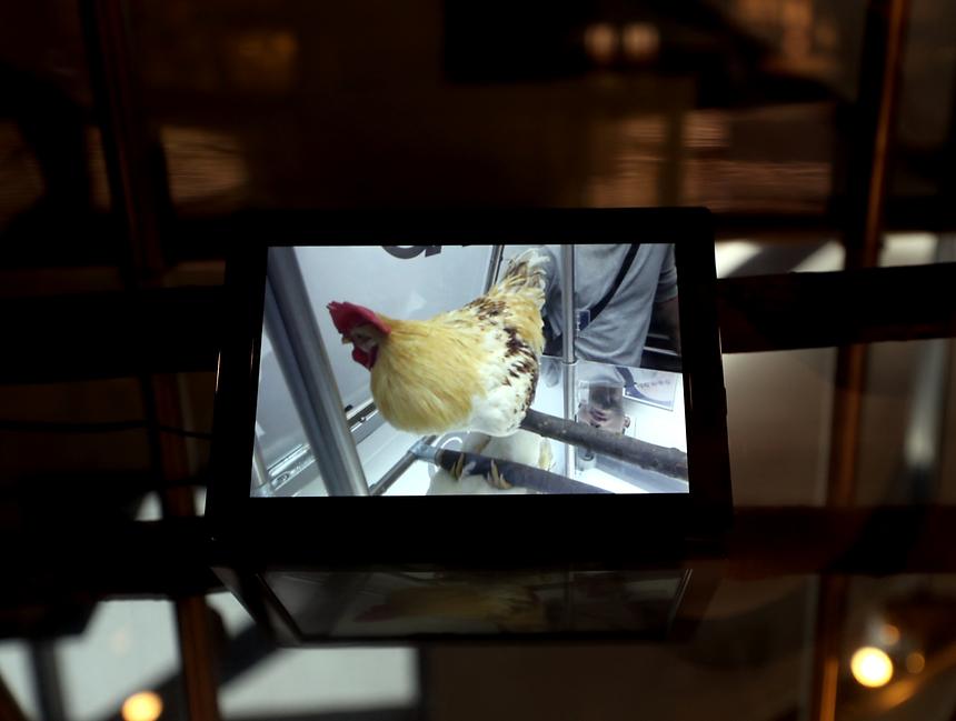 아트프라이즈 - 11