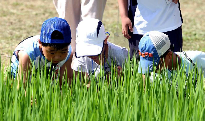 여름방학 특별 프로그램 - 2