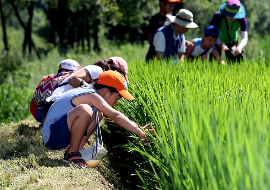 여름방학 특별 프로그램 - 3