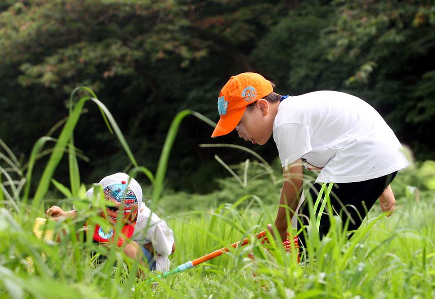 양재천 여름방학 특별프로그램 - 5