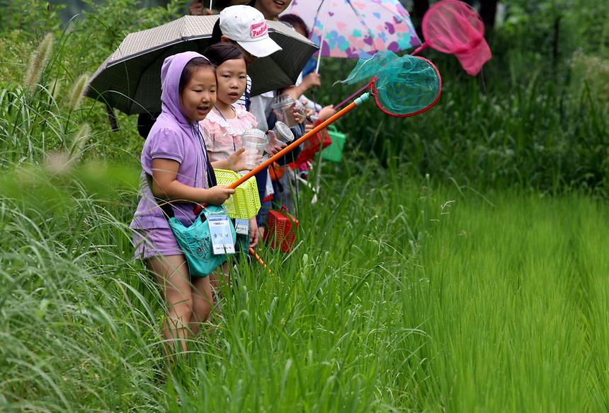 양재천 여름방학 특별프로그램 - 3