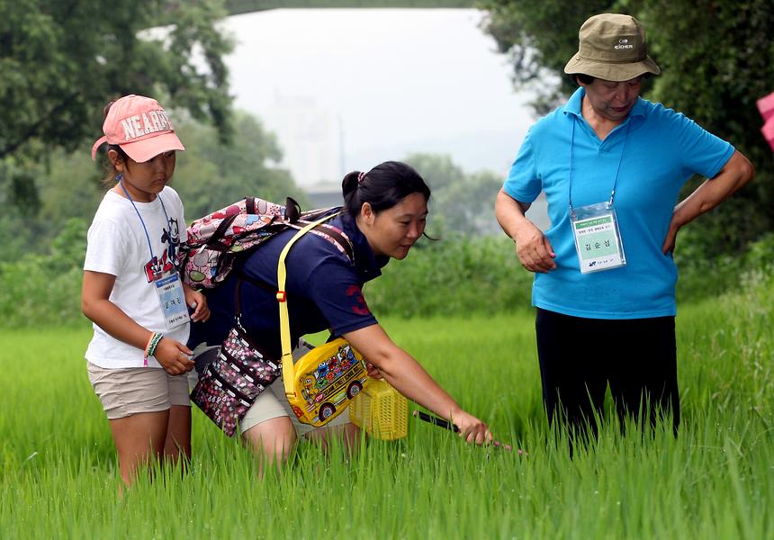 양재천 여름방학 특별프로그램 - 4