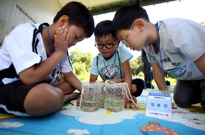 여름방학 특별 프로그램 - 6