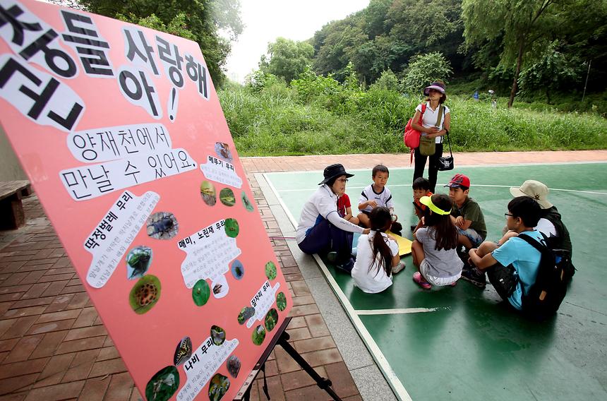 양재천 여름방학 특별프로그램 - 2