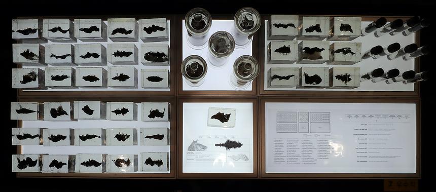 아트프라이즈 - 6