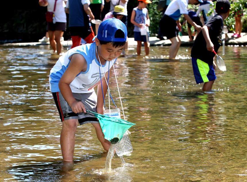 여름방학 특별 프로그램 - 1