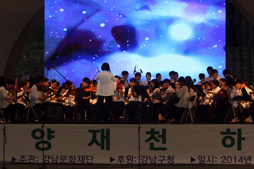 양재천 하모니 - 1