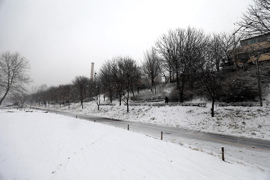 양재천 겨울 - 9