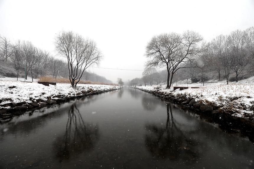양재천 겨울 - 5