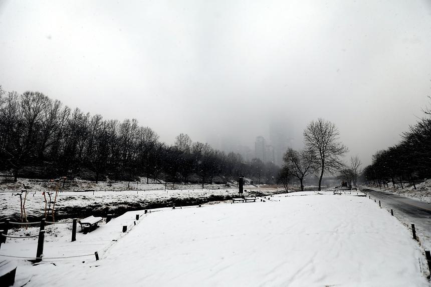 양재천 겨울 - 8