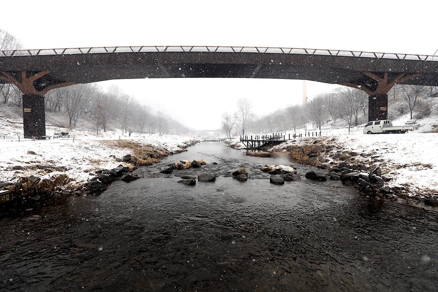 양재천 겨울 - 6