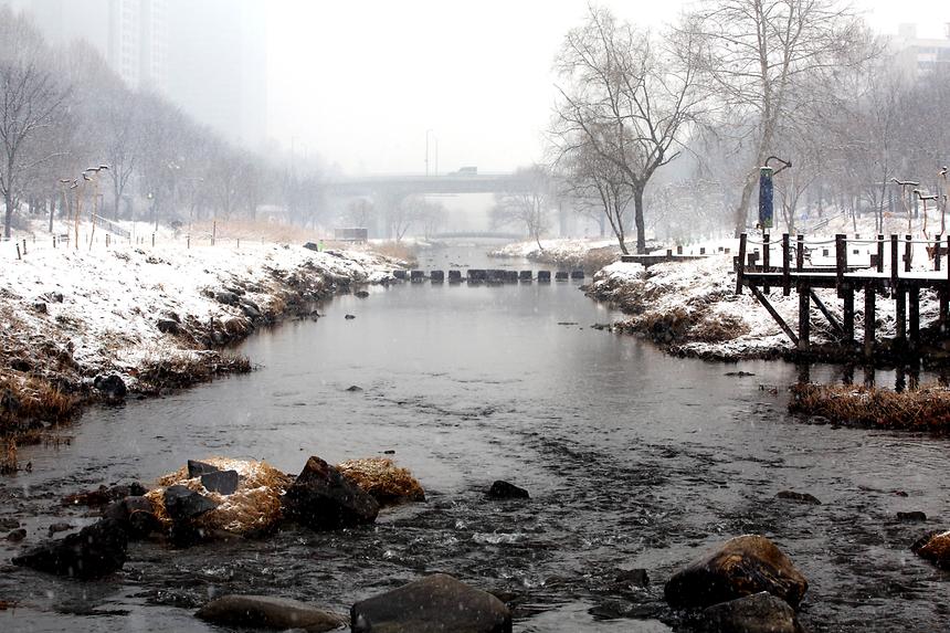 양재천 겨울 - 18