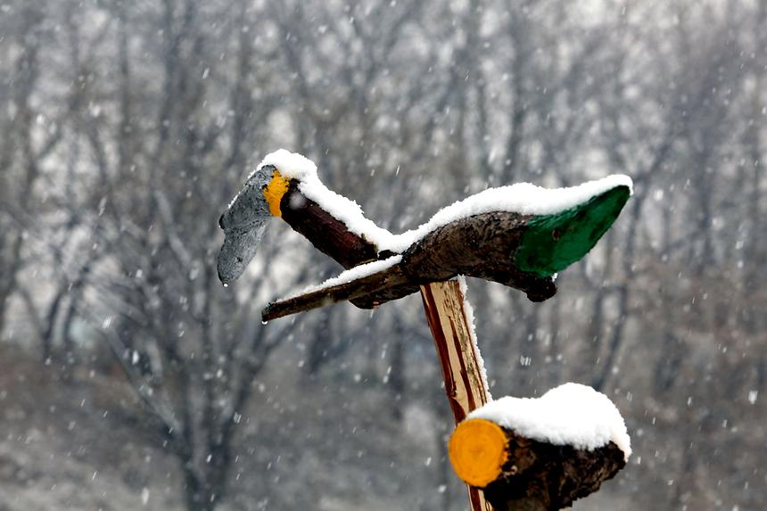 양재천 겨울 - 20