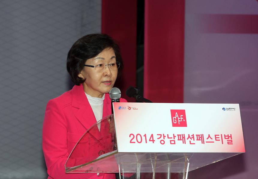 강남 패션 페스티벌 - 1