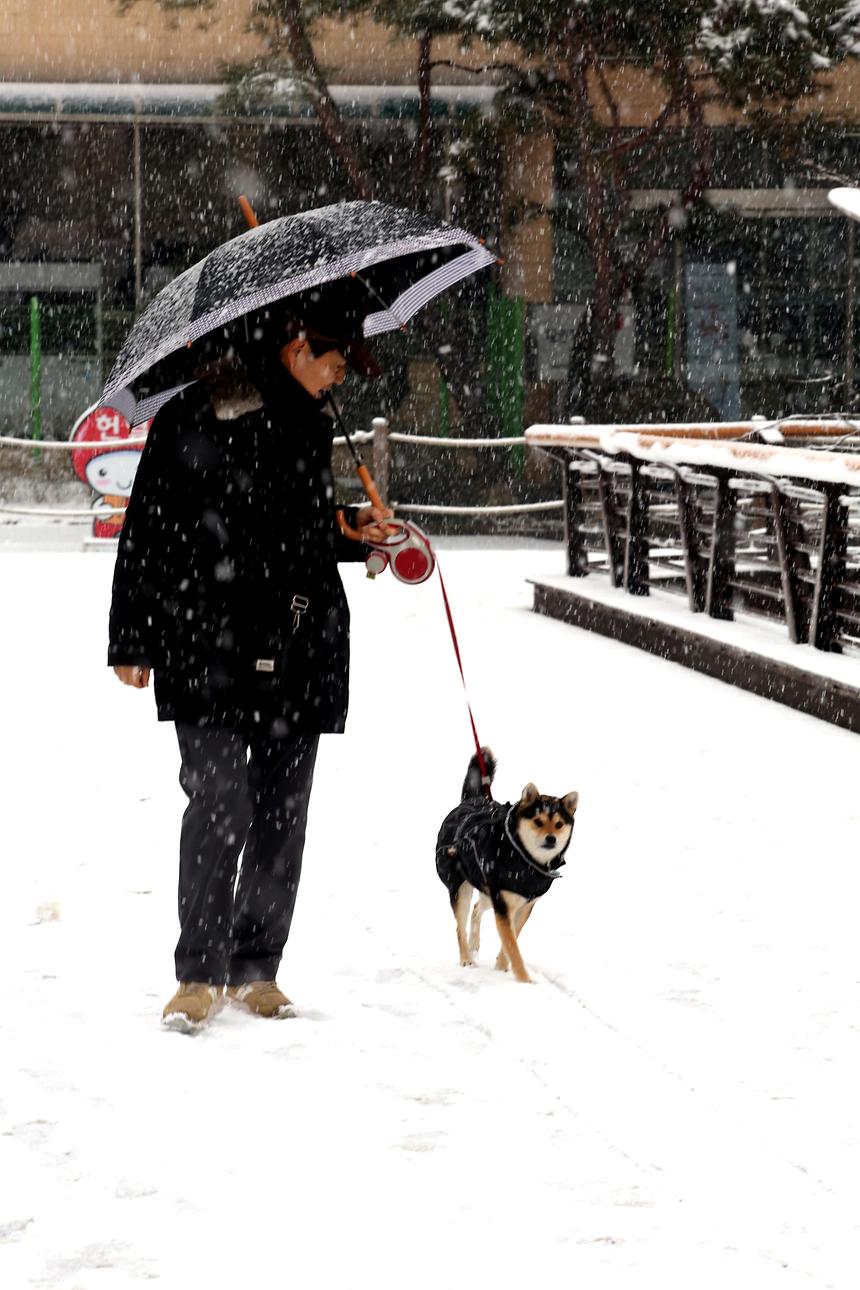 양재천 겨울 - 11