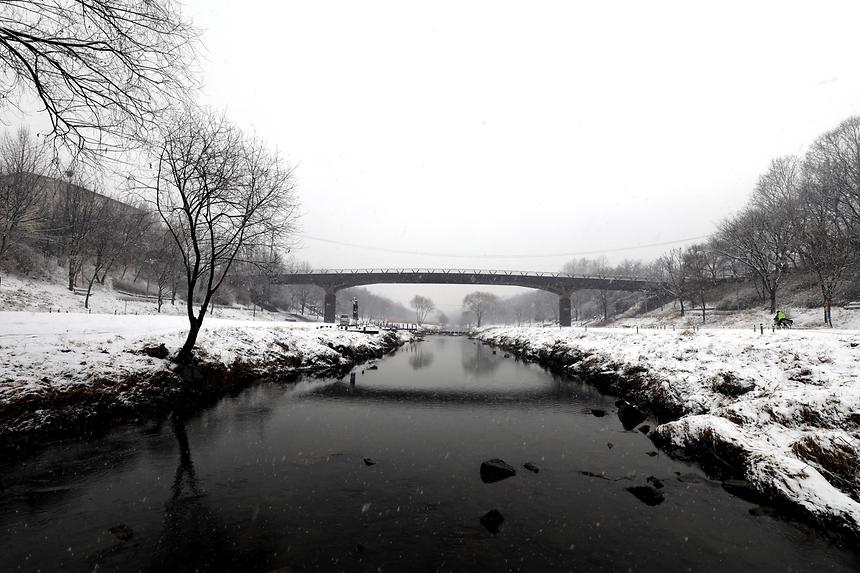 양재천 겨울 - 10