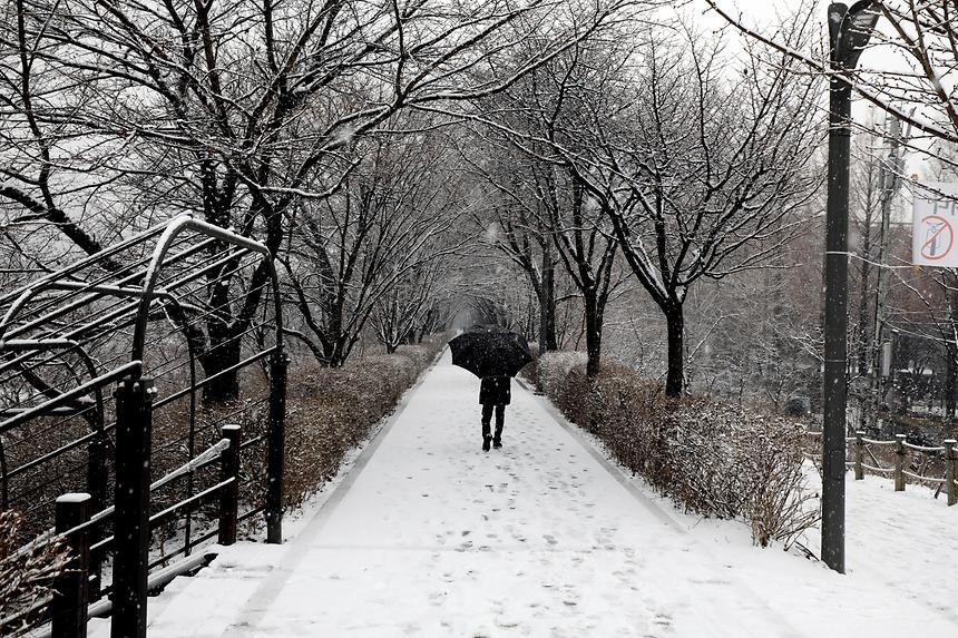 양재천 겨울 - 2