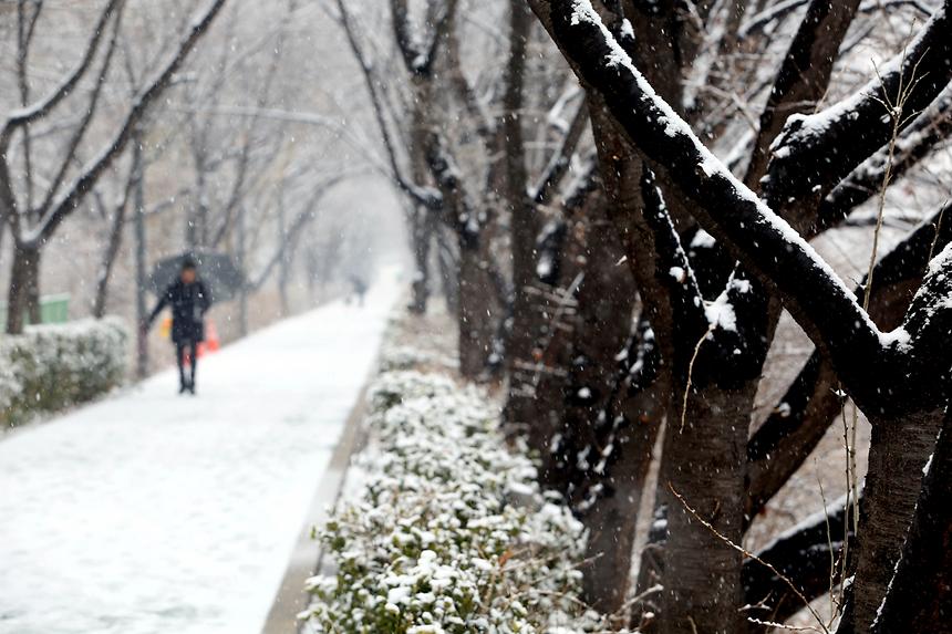 양재천 겨울 - 15