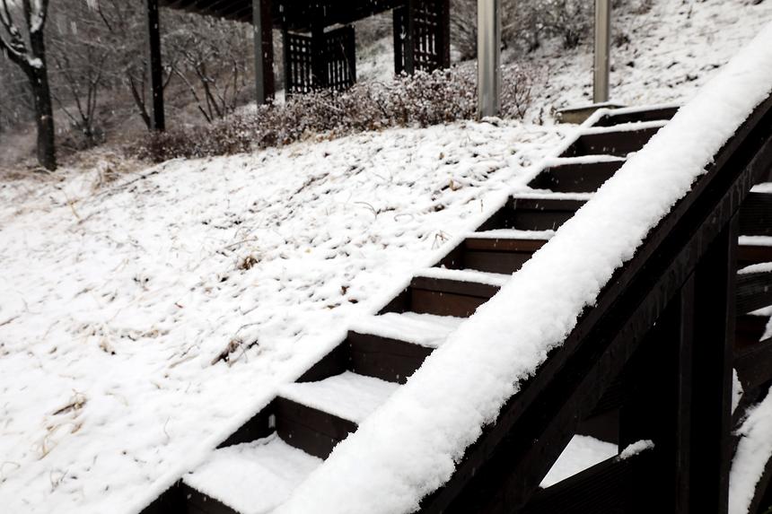 양재천 겨울 - 3