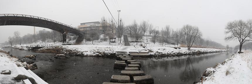 양재천 겨울 - 25