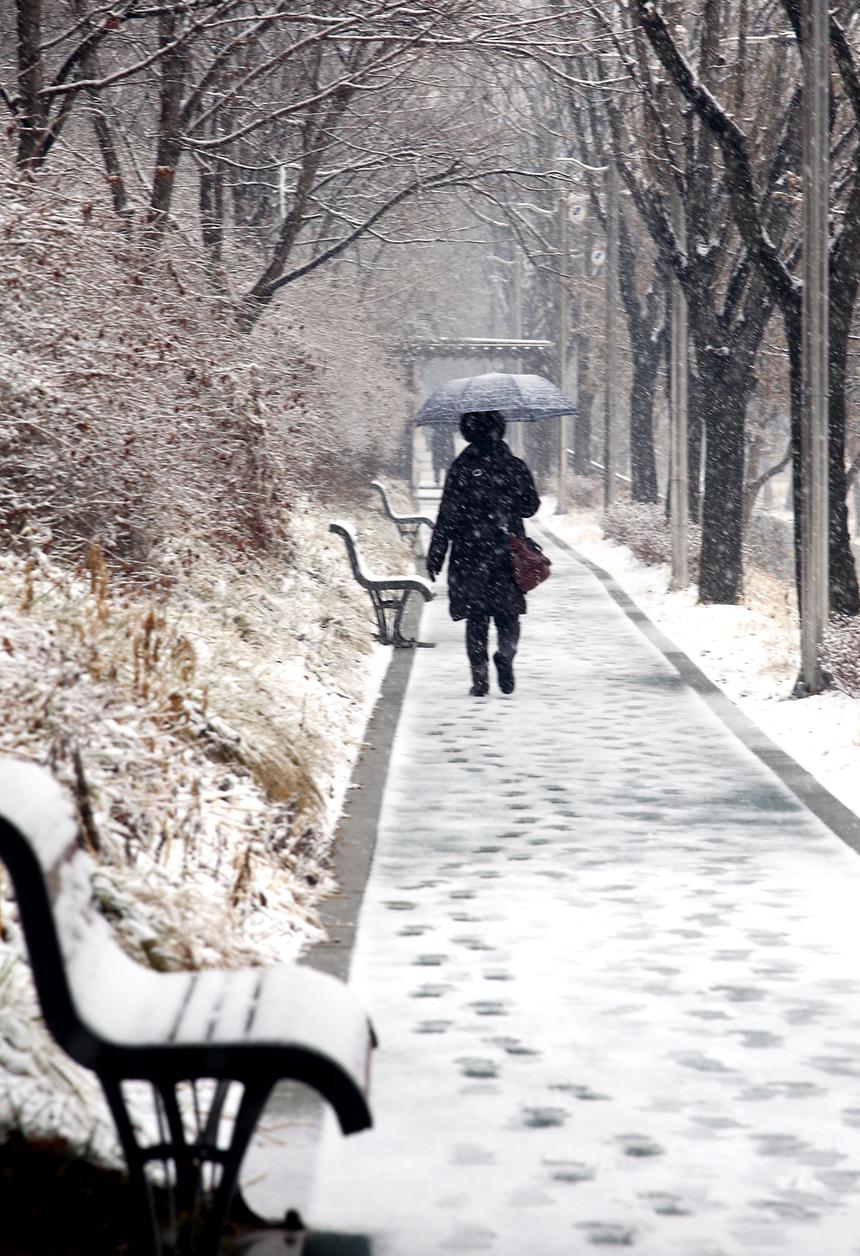 양재천 겨울 - 17