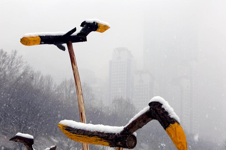 양재천 겨울 - 19