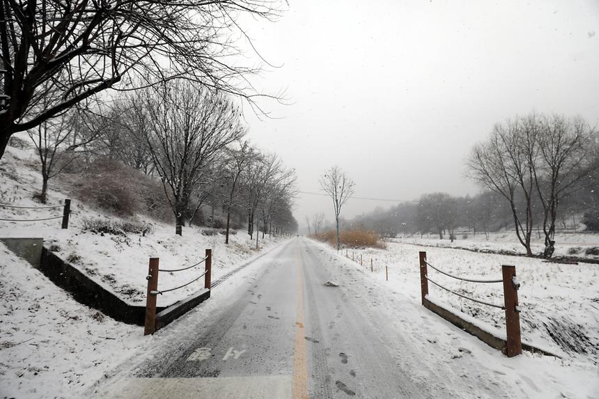 양재천 겨울 - 7