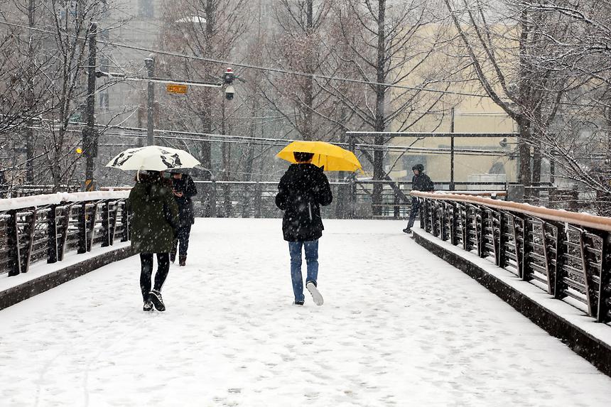 양재천 겨울 - 12