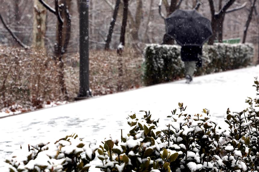 양재천 겨울 - 16