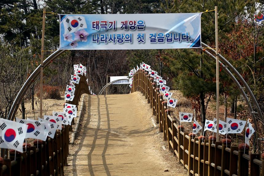 3.1절 태극기  - 7