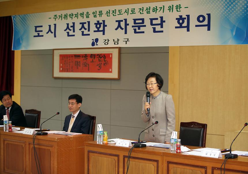 도시선진화 자문단 회의 - 3
